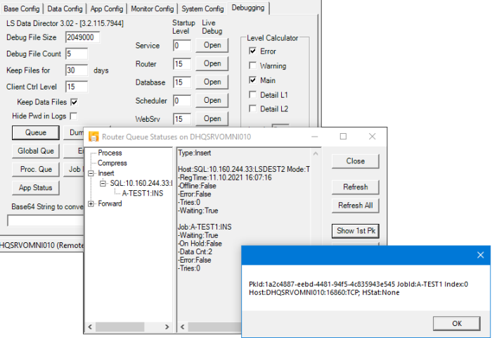 How to: Troubleshoot Data Director 3.02.xx